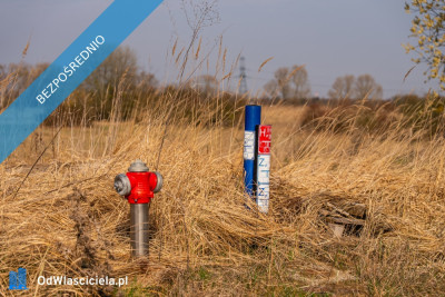 Działka na wzniesieniu w okolicy widok na dorzecze Odry - Skolwin  -
zachodniopomorskie Zdjęcie nr 6