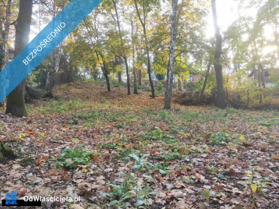 Łomianki Dąbrowa Leśna działka 1500m2 - Łomianki  -
mazowieckie Zdjęcie nr 2