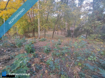 Łomianki Dąbrowa Leśna działka 1500m2 - Łomianki  -
mazowieckie Zdjęcie nr 3