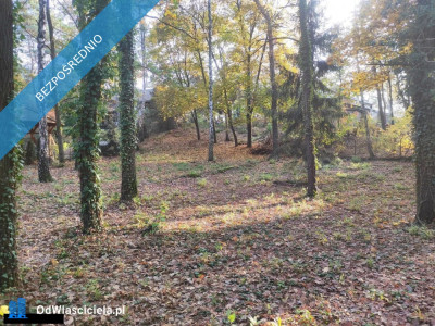 Łomianki Dąbrowa Leśna działka 1500m2 - Łomianki  -
mazowieckie Zdjęcie nr 4