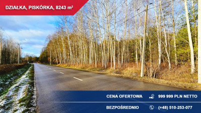 Atrakcyjna działka przy lesie z doskonałym dojazdem  8243 m  Piskórka - Piskórka  -
mazowieckie Zdjęcie nr 4