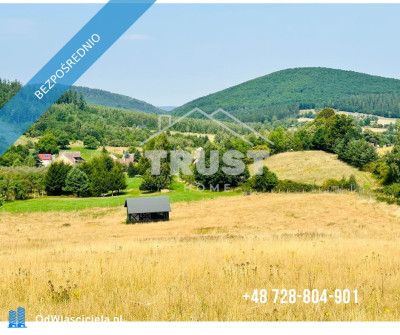 Na sprzedaż wyjątkowa działka budowlana 3886 m  Laskówka gmina Bardo pow ząbkowicki - Laskówka  - dolnośląskie