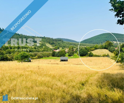 Na sprzedaż wyjątkowa działka budowlana 3886 m  Laskówka gmina Bardo pow ząbkowicki - Laskówka  -
dolnośląskie Zdjęcie nr 2