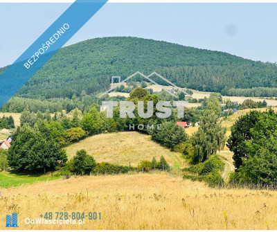 Na sprzedaż wyjątkowa działka budowlana 3886 m  Laskówka gmina Bardo pow ząbkowicki - Laskówka  -
dolnośląskie Zdjęcie nr 3