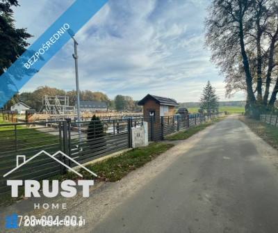 Działka budowlana przy lesie  Łazy Wielkie - Łazy Wielkie  -
dolnośląskie Zdjęcie nr 3