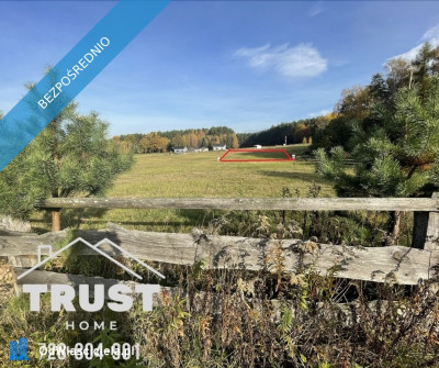 Działka budowlana przy lesie  Łazy Wielkie - Łazy Wielkie  -
dolnośląskie Zdjęcie nr 4