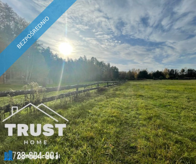 Działka budowlana przy lesie  Łazy Wielkie - Łazy Wielkie  -
dolnośląskie Zdjęcie nr 5