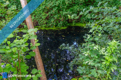 Działka rekreacyjna nad morzem - Kamień Pomorski  -
zachodniopomorskie Zdjęcie nr 5