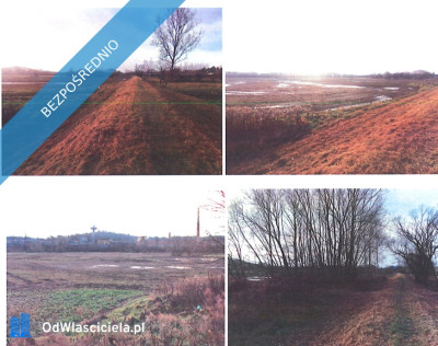 Syndyk sprzeda działki rolne - Strupice  - dolnośląskie