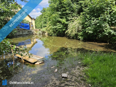 Syndyk sprzeda nieruchomość niezabudowaną - Podgórzyn  -
dolnośląskie Zdjęcie nr 2