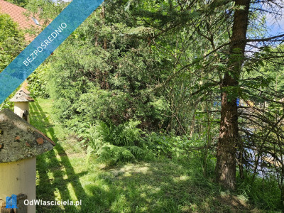 Syndyk sprzeda nieruchomość niezabudowaną - Podgórzyn  -
dolnośląskie Zdjęcie nr 3