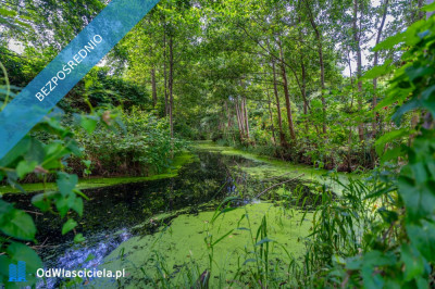 Działka nad morzem teraz tylko  179000 zł - Międzywodzie  -
zachodniopomorskie Zdjęcie nr 7