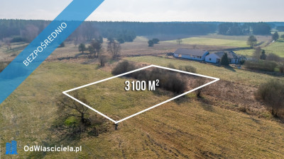 Działka w zielonej okolicy z wydanymi warunkami pod Szczecinem - Płonia-Śmierdnica-Jezierzyce  -
zachodniopomorskie Zdjęcie nr 5