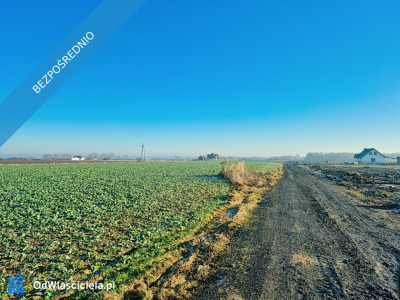 Piękna działka budowlana w Brzezinie koło Wrocławia z panoramicznym widokiem - Brzezina  -
dolnośląskie Zdjęcie nr 4