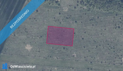 Działka 11811 w Gołębiewie - Gołębiewo Wielkie  - pomorskie