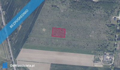 Działka 11814 w Gołębiewie - Gołębiewo Wielkie  - pomorskie