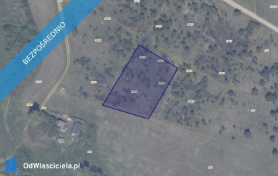 Działka 1948 w Ełganowie - Ełganowo  - pomorskie