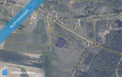 Działka 1948 w Ełganowie - Ełganowo  -
pomorskie Zdjęcie nr 2