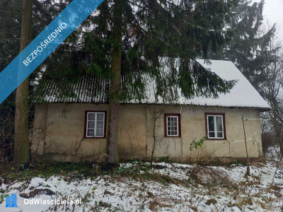 Siedlisko z potencjałem  55 arów w Draganach Lubelskie  blisko natury i cywilizacji - Dragany  -
lubelskie Zdjęcie nr 2