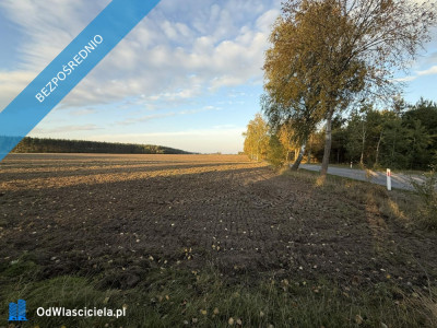 OFERTA SPRZEDAŻY LUB DŁUGOTERMINOWEJ DZIERŻAWY ŻWIROWNI  KOCHOWO II - Kochowo  -
wielkopolskie Zdjęcie nr 2