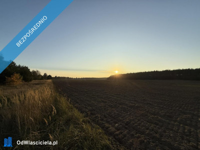 OFERTA SPRZEDAŻY LUB DŁUGOTERMINOWEJ DZIERŻAWY ŻWIROWNI  KOCHOWO II - Kochowo  -
wielkopolskie Zdjęcie nr 4