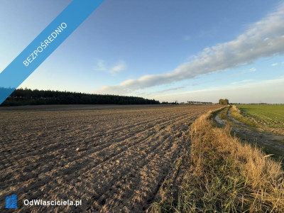 OFERTA SPRZEDAŻY LUB DŁUGOTERMINOWEJ DZIERŻAWY ŻWIROWNI  KOCHOWO II - Kochowo  -
wielkopolskie Zdjęcie nr 5