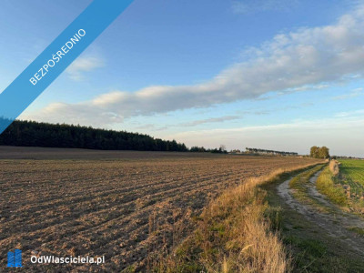 OFERTA SPRZEDAŻY LUB DŁUGOTERMINOWEJ DZIERŻAWY ŻWIROWNI  KOCHOWO II - Kochowo  -
wielkopolskie Zdjęcie nr 6