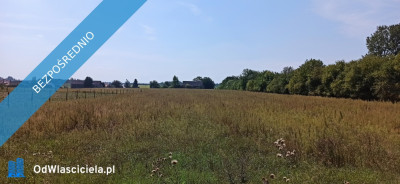 Siemiatycze - ul Żeromskiego DZIAŁKA BUDOWLANA - Annopol  -
podlaskie Zdjęcie nr 7