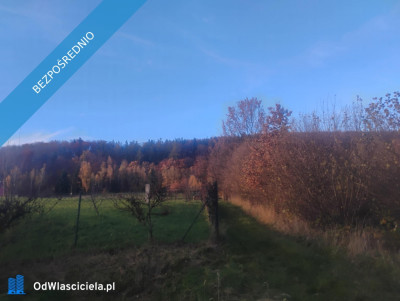 Sprzedam działkę z pięknym widokiem i świetnym sąsiedztwem  Radochów gm Lądek-Zdrój Dolny Śląsk - Radochów  -
dolnośląskie Zdjęcie nr 9