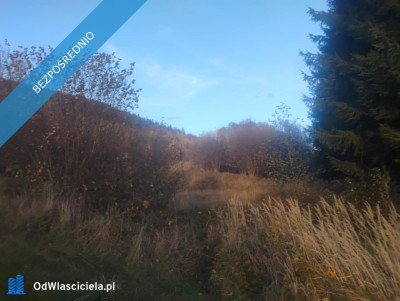 Sprzedam działkę z pięknym widokiem i świetnym sąsiedztwem  Radochów gm Lądek-Zdrój Dolny Śląsk - Radochów  -
dolnośląskie Zdjęcie nr 2