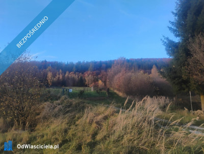 Sprzedam działkę z pięknym widokiem i świetnym sąsiedztwem  Radochów gm Lądek-Zdrój Dolny Śląsk - Radochów  -
dolnośląskie Zdjęcie nr 4