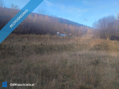 Sprzedam działkę z pięknym widokiem i świetnym sąsiedztwem  Radochów gm Lądek-Zdrój Dolny Śląsk - Radochów  -
dolnośląskie Zdjęcie nr 7