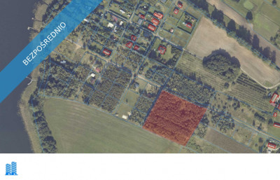 Działki na sprzedaż z dostępem do jeziora - Mąkolno - Mąkolno  -
wielkopolskie Zdjęcie nr 9