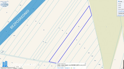 Sprzedam działkę w Kraśnicy gm Golina - Kraśnica  - wielkopolskie