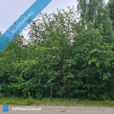 Działka Rzgów Gospodarz ul Kwiatowa 1520 m2  - Gospodarz  -
łódzkie Zdjęcie nr 4