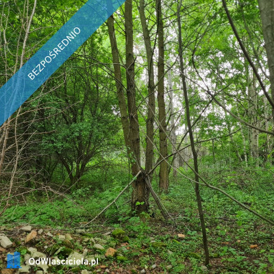 Działka Rzgów Gospodarz ul Kwiatowa 1520 m2  - Gospodarz  -
łódzkie Zdjęcie nr 5