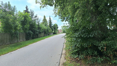 Sprzedam działkę na Mazurach - Wólka  -
warmińsko-mazurskie Zdjęcie nr 5