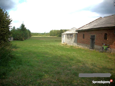 Sprzedam działkę siedliskową z zabudowaniami - Romanów  -
lubelskie Zdjęcie nr 2