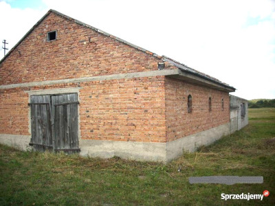 Sprzedam działkę siedliskową z zabudowaniami - Romanów  -
lubelskie Zdjęcie nr 3