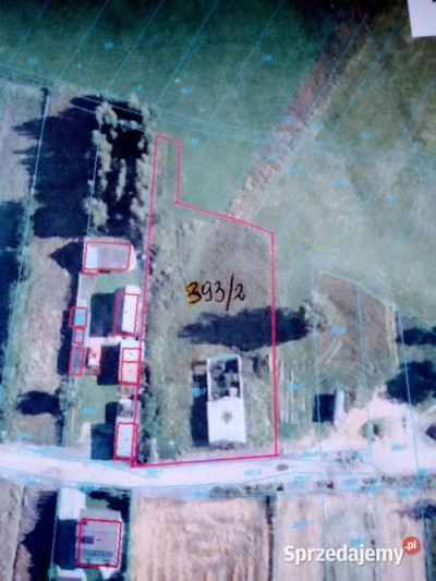 Sprzedam działkę siedliskową z zabudowaniami - Romanów  -
lubelskie Zdjęcie nr 5