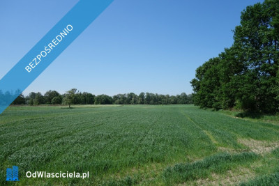 Skoczów Ochaby 57ar rolna pod lasem z pięknym drzewostanem w granciy - Skoczów  -
śląskie Zdjęcie nr 3