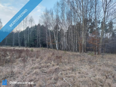 Grunt Rolny na sprzedaż Marysin gm Kałuszyn  - Marysin  -
mazowieckie Zdjęcie nr 9