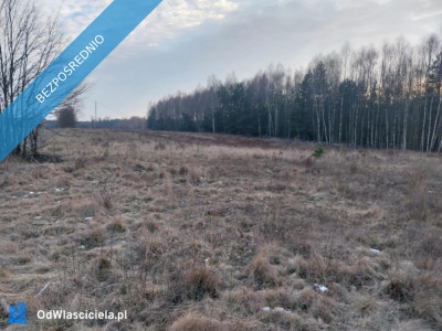 Grunt Rolny na sprzedaż Marysin gm Kałuszyn  - Marysin  -
mazowieckie Zdjęcie nr 5