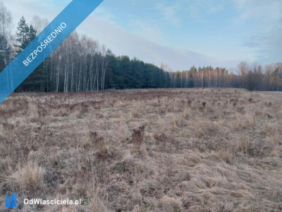 Grunt Rolny na sprzedaż Marysin gm Kałuszyn  - Marysin  -
mazowieckie Zdjęcie nr 6