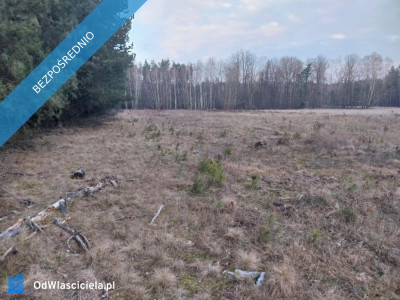 Grunt Rolny na sprzedaż Marysin gm Kałuszyn  - Marysin  -
mazowieckie Zdjęcie nr 7