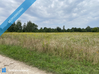 Działka inwestycyjna pod usługi 18 km od centrum Kazimierza Dolnego - Cholewianka  -
lubelskie Zdjęcie nr 3