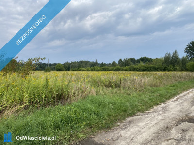 Działka inwestycyjna pod usługi 18 km od centrum Kazimierza Dolnego - Cholewianka  -
lubelskie Zdjęcie nr 5