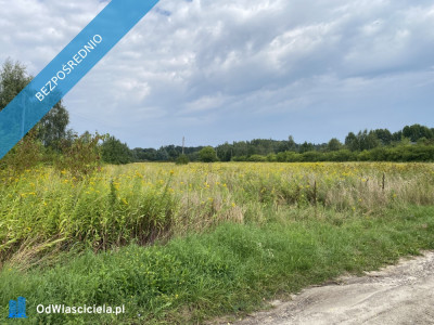 Działka inwestycyjna pod usługi 18 km od centrum Kazimierza Dolnego - Cholewianka  -
lubelskie Zdjęcie nr 6