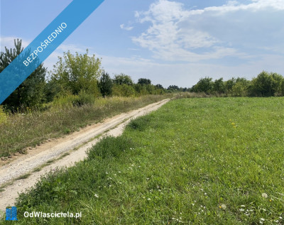 Piękna Działka na Wsi Okale k Kazimierz Dolnego - Okale  -
lubelskie Zdjęcie nr 11