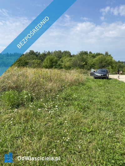 Piękna Działka na Wsi Okale k Kazimierz Dolnego - Okale  -
lubelskie Zdjęcie nr 12